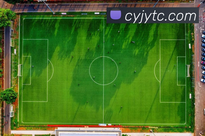 App Interface Preview