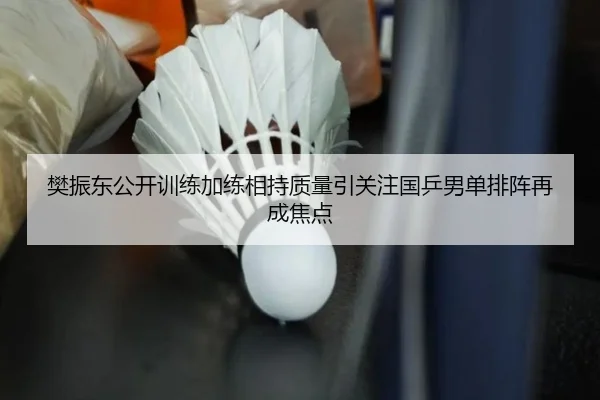 樊振东公开训练加练相持质量引关注国乒男单排阵再成焦点