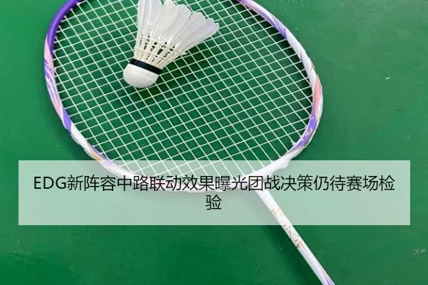 EDG新阵容中路联动效果曝光团战决策仍待赛场检验