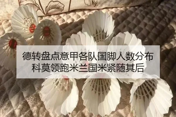 德转盘点意甲各队国脚人数分布 科莫领跑米兰国米紧随其后
